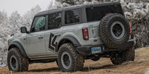 Ford Ford